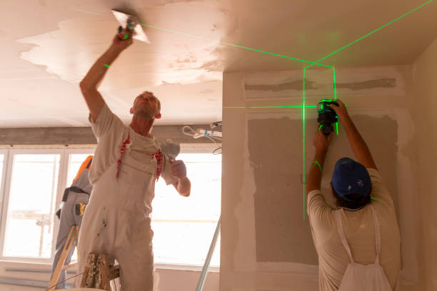 Best Water-Damaged Drywall Repair  in Ossian, IN